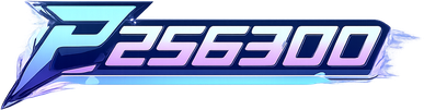 p256300